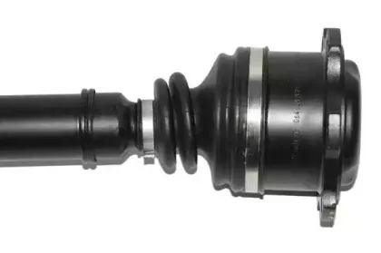 lauber-880737