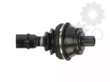lauber-880745