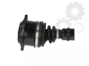 lauber-880745