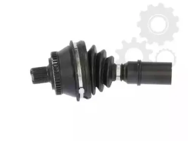 lauber-880746