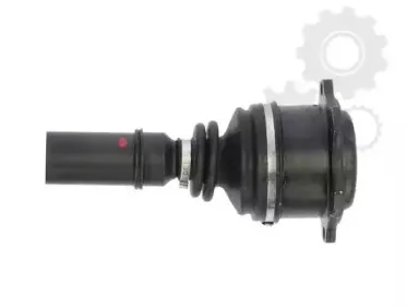 lauber-880746
