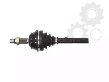 lauber-881254