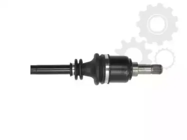 lauber-881254