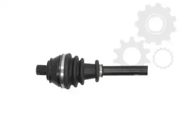 lauber-881364
