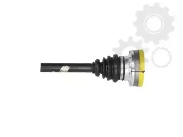 lauber-881364