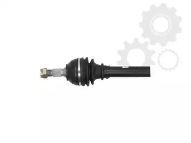 lauber-881551