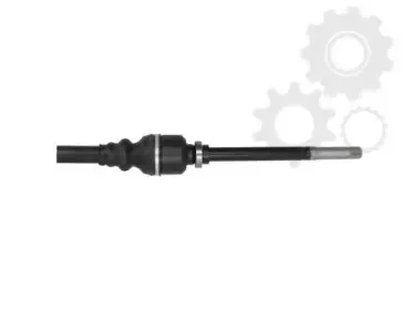 lauber-881551