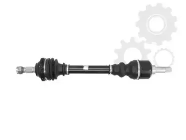lauber-881552