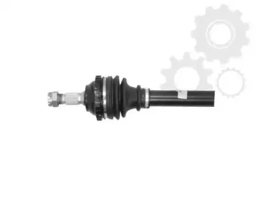 lauber-881552