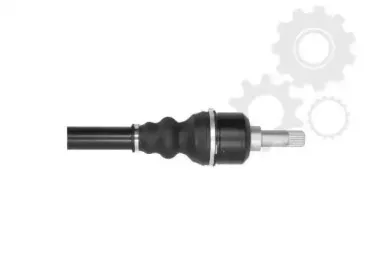 lauber-881552