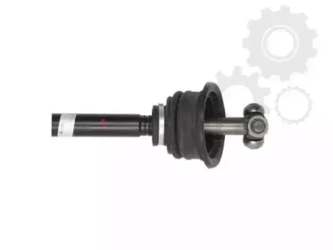 lauber-881583