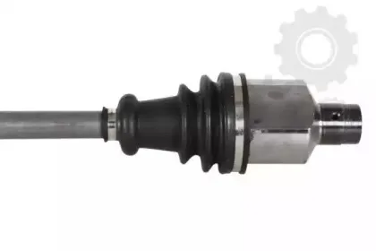 lauber-881652