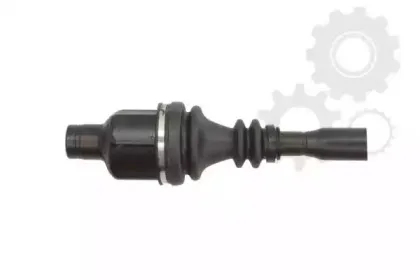 lauber-881654