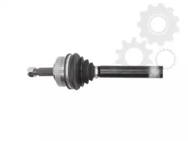lauber-881669