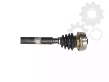 lauber-881669