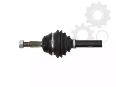 lauber-881882