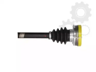 lauber-881882