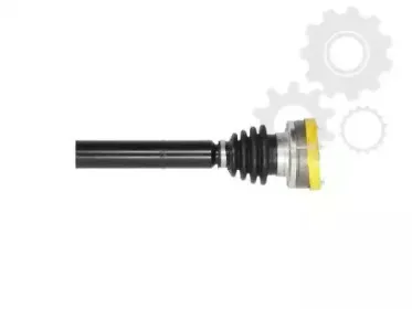 lauber-881883