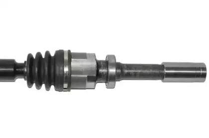lauber-882024