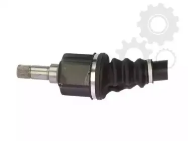 lauber-882046