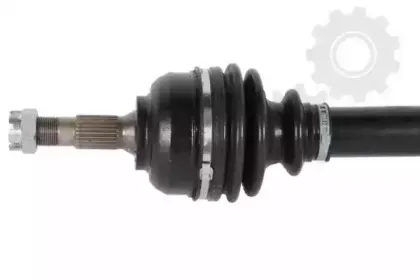 lauber-882047