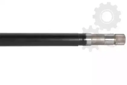 lauber-882047