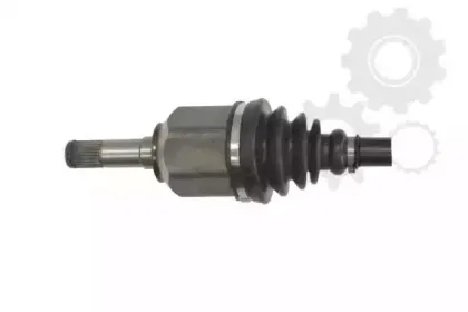 lauber-882061