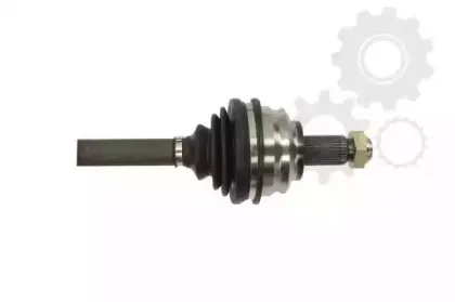 lauber-882064