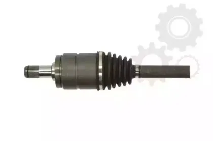 lauber-882064