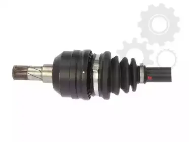lauber-882082