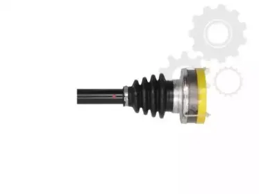 lauber-882099