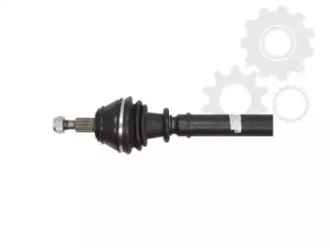 lauber-882114