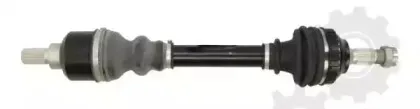 lauber-882124