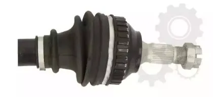 lauber-882124