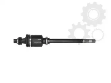 lauber-882146