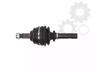 lauber-882148