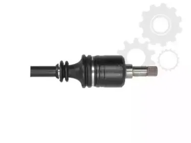 lauber-882148