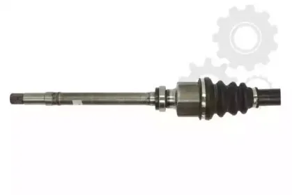 lauber-882152