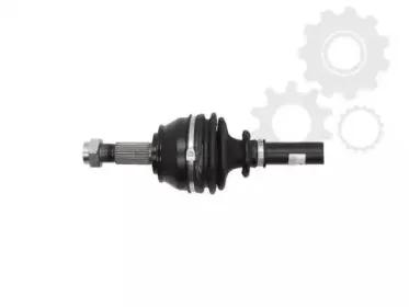 lauber-882169