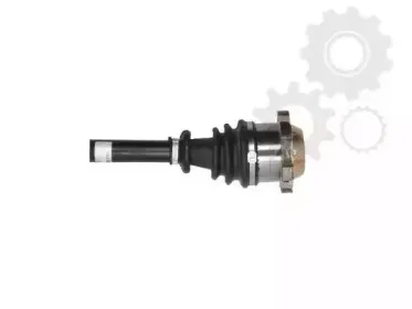 lauber-882169