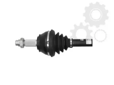 lauber-882174