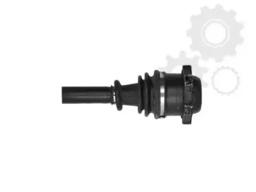 lauber-882174