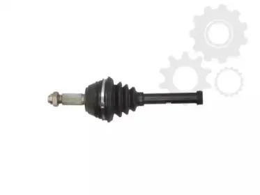 lauber-882184