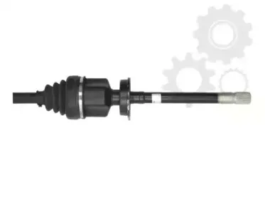 lauber-882184