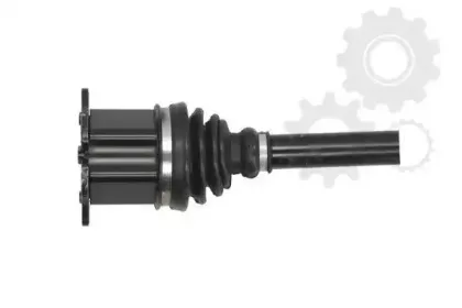 lauber-882191
