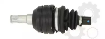 lauber-882217