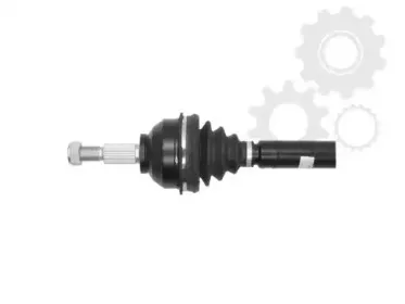 lauber-882227