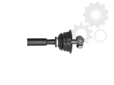 lauber-882227