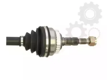 lauber-882247