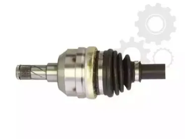 lauber-882247